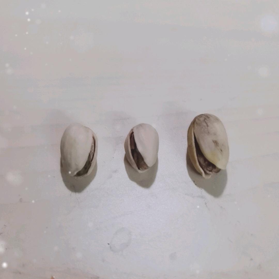疯狂开心果