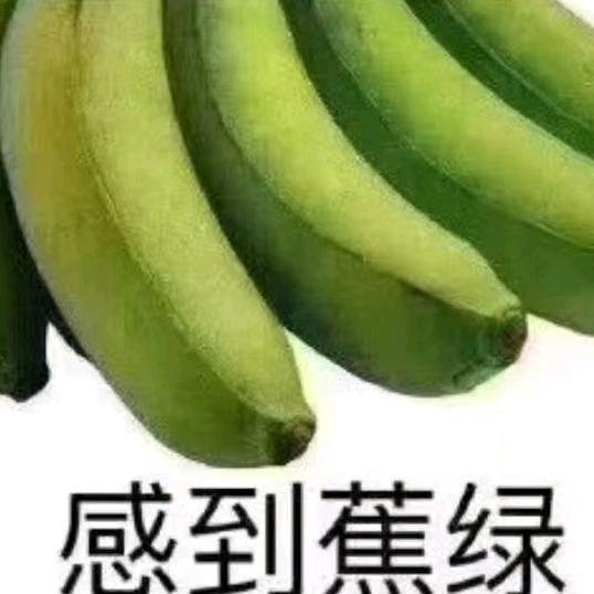 泡虾小王子