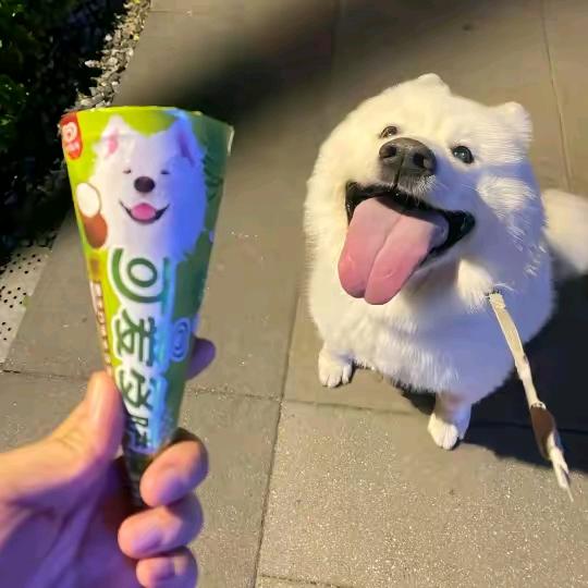 想吃螺蛳粉ovo