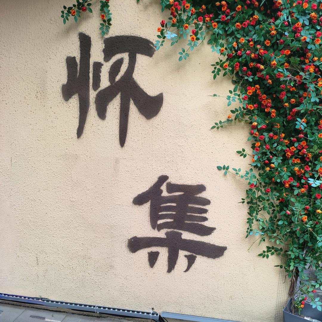 怀集美💋