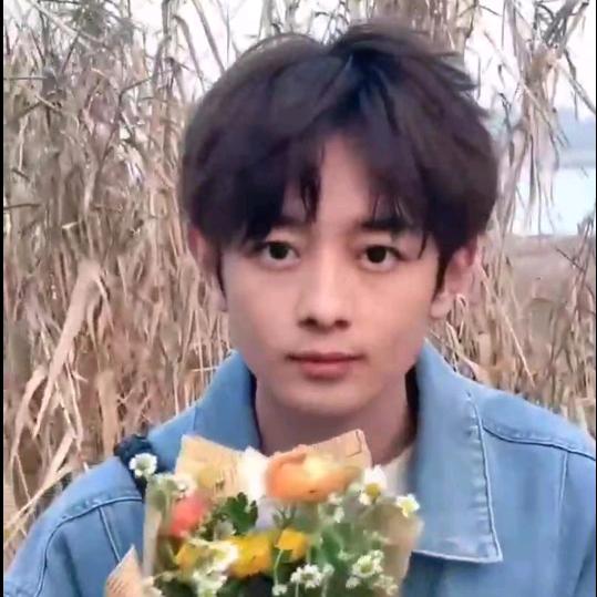 囊中羞涩，不知市井繁华🐕