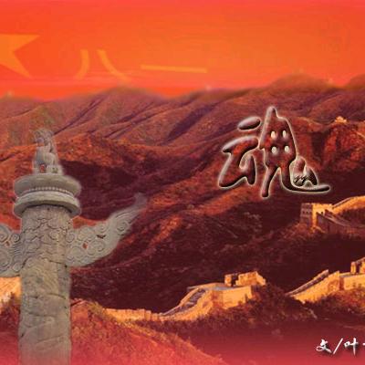 强哥是我