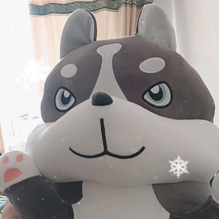齐老板