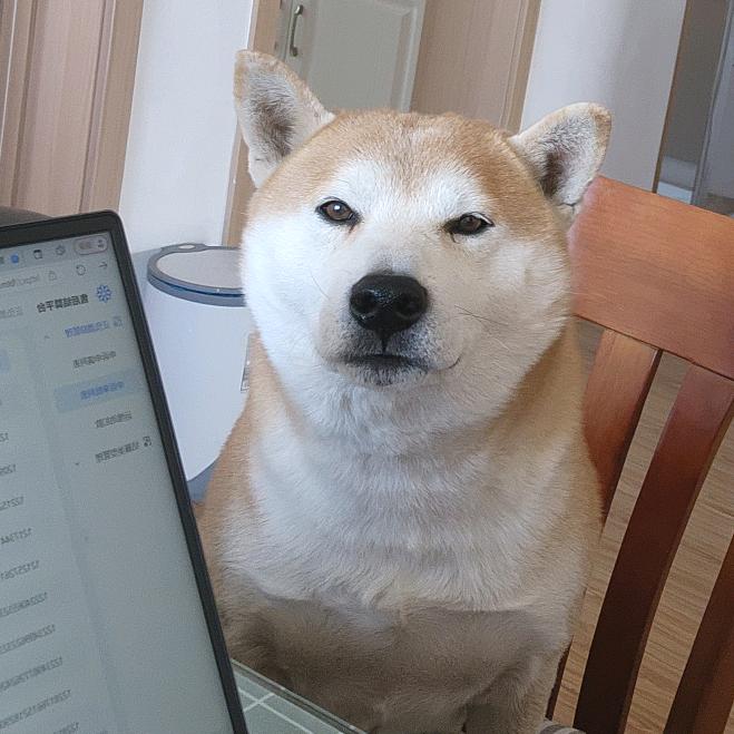 Y 一乐