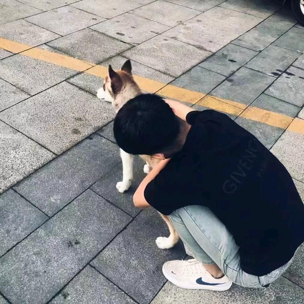 十一