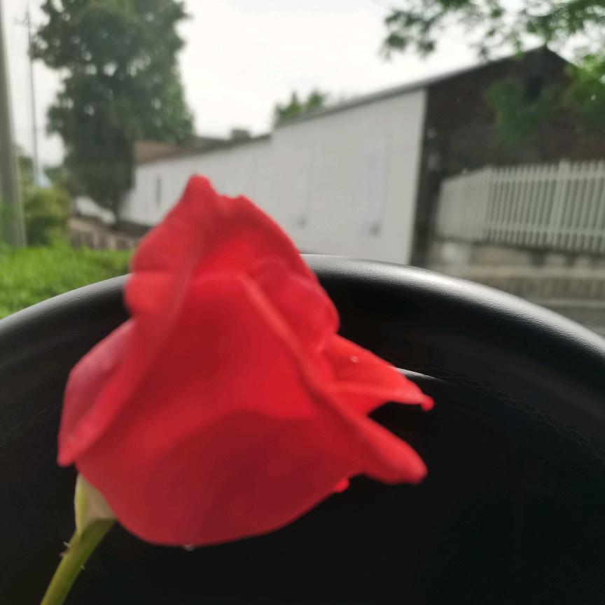 果汁🌸