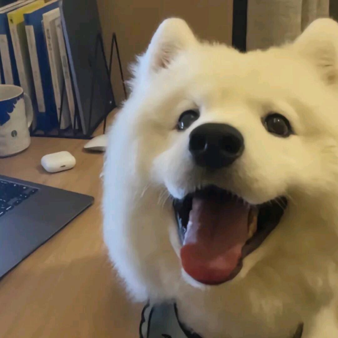 🧸...