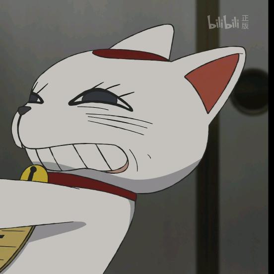 奶盖和可乐是只猫呀