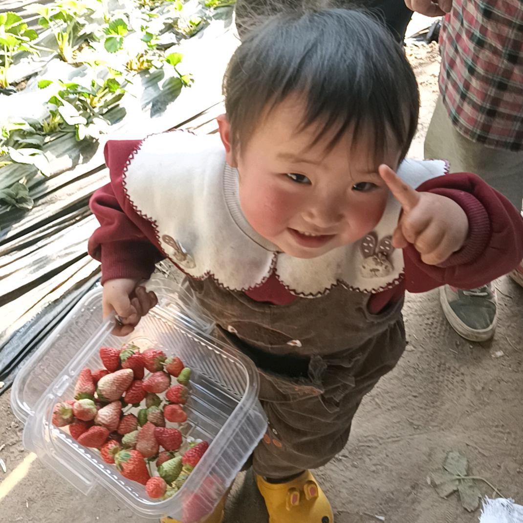 荣艳草莓采摘园