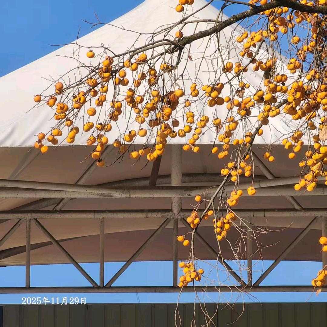 : @ℒᎭℯ⃝小幸运