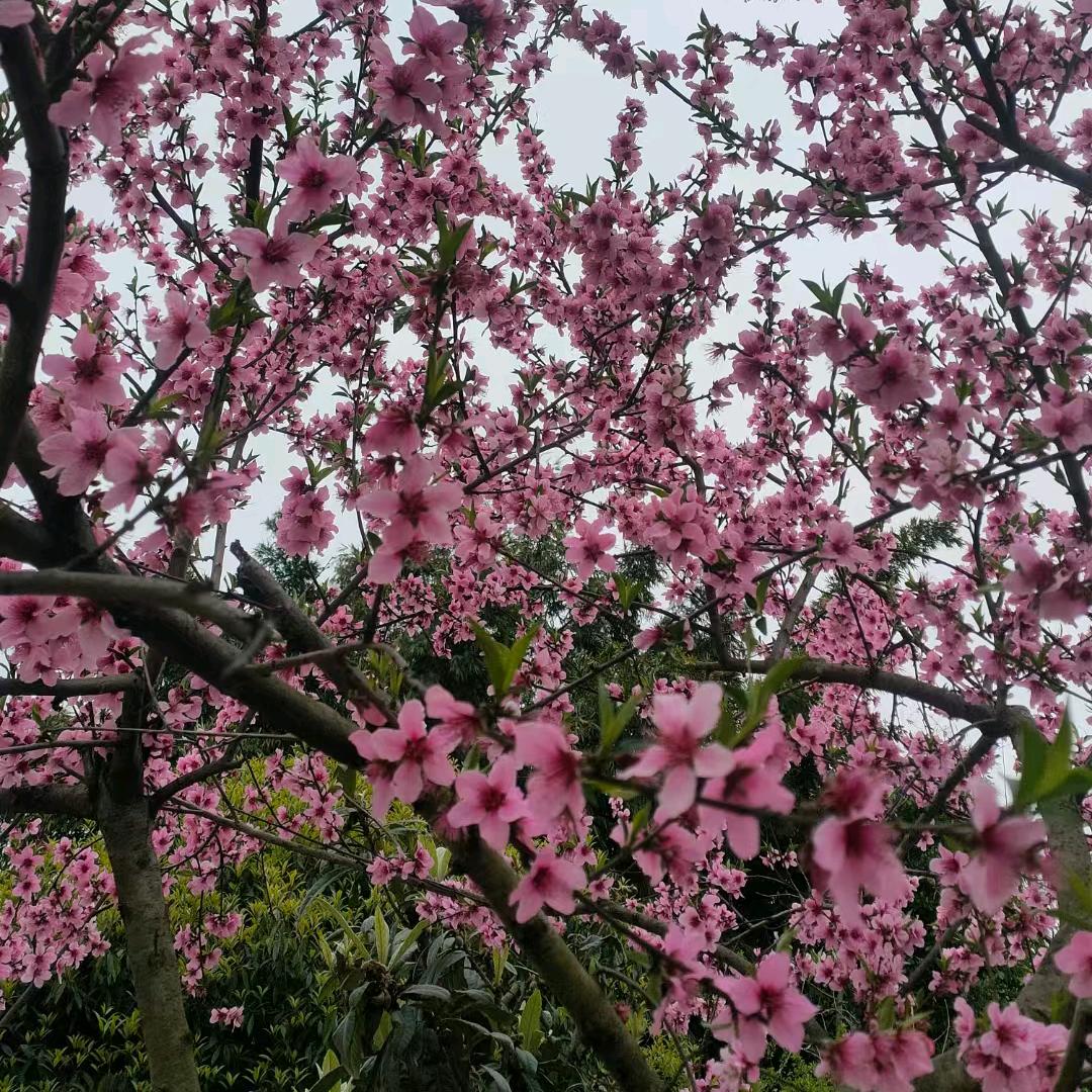 💖媛媛吖