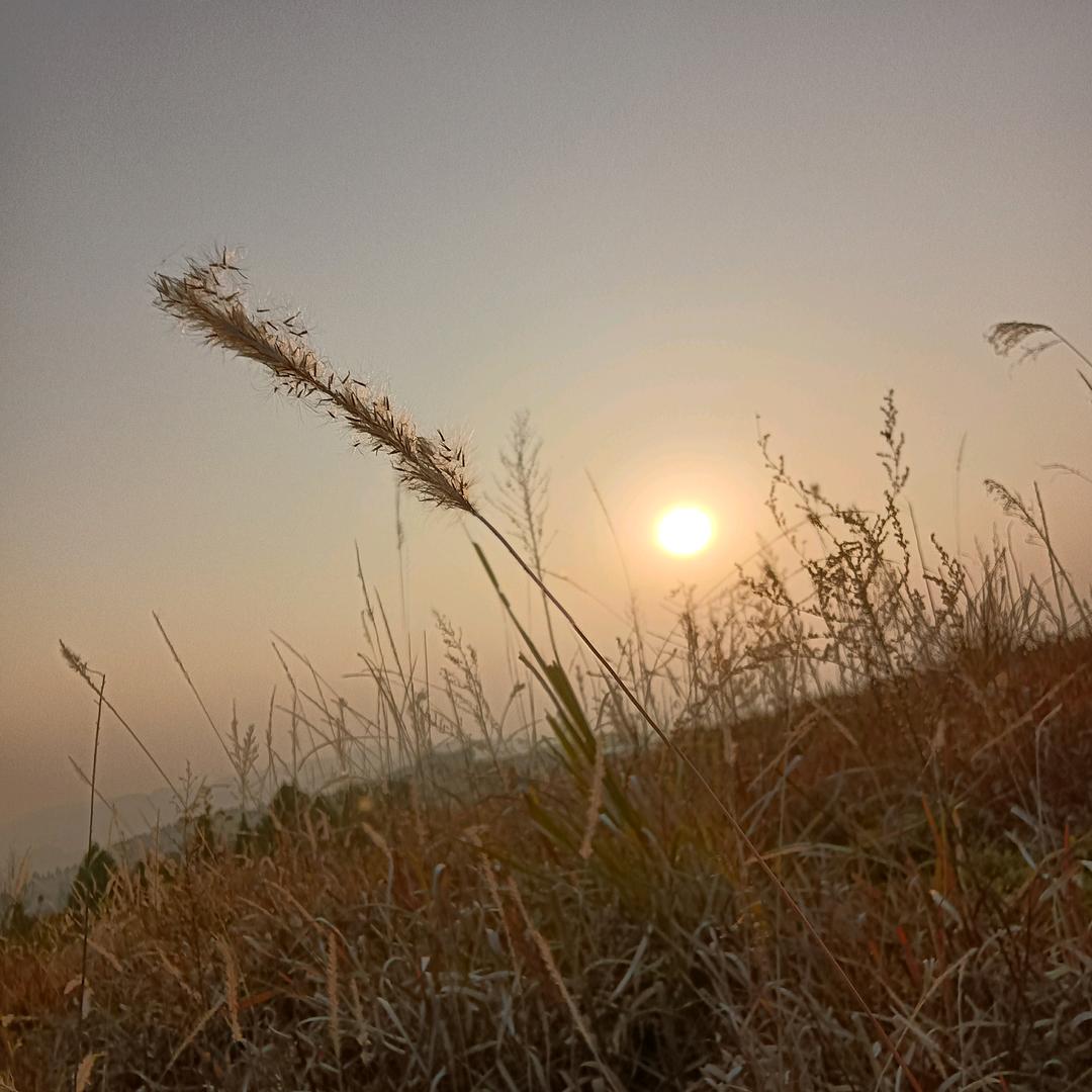 九安（禁止连赞）