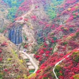 户外风景实拍