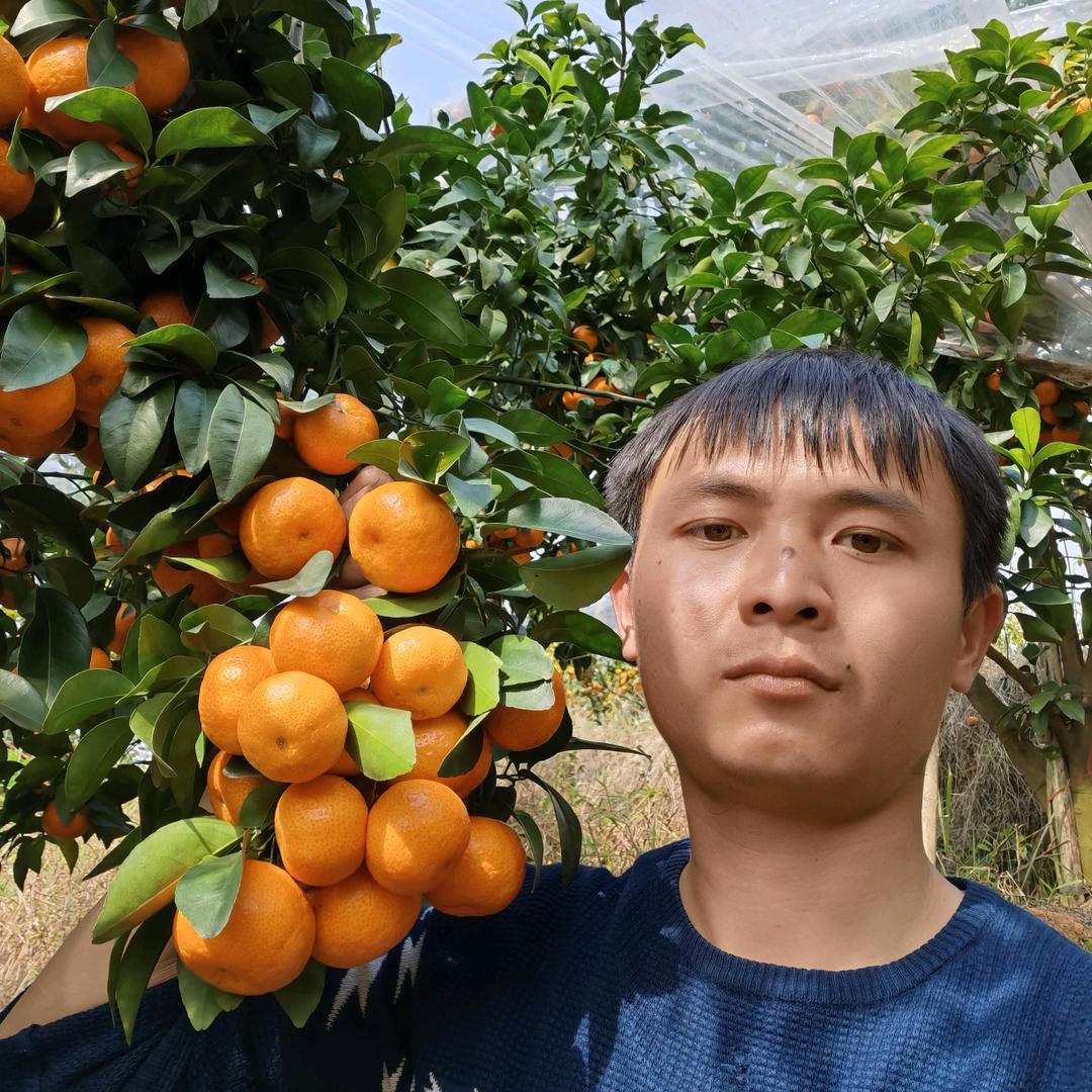梦想城真