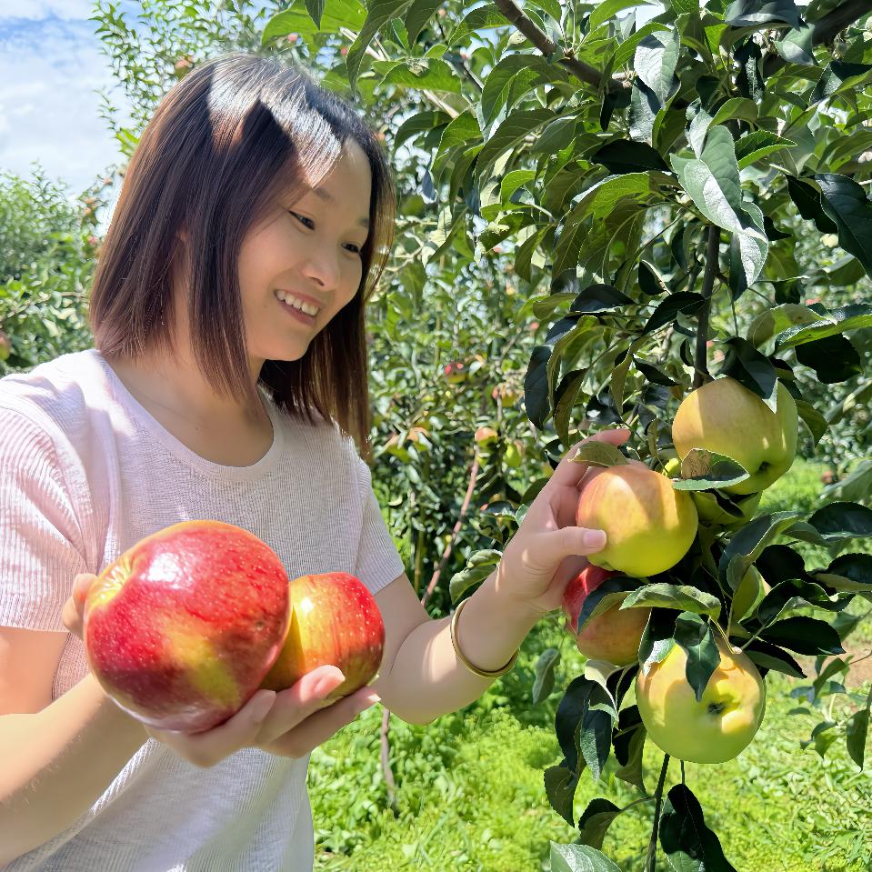 田园阿俊