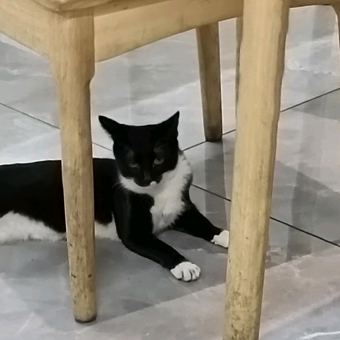 不尽长江滚滚来