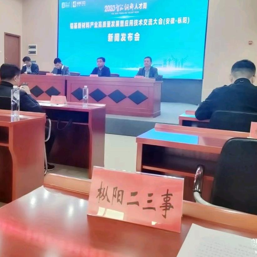 枞阳234