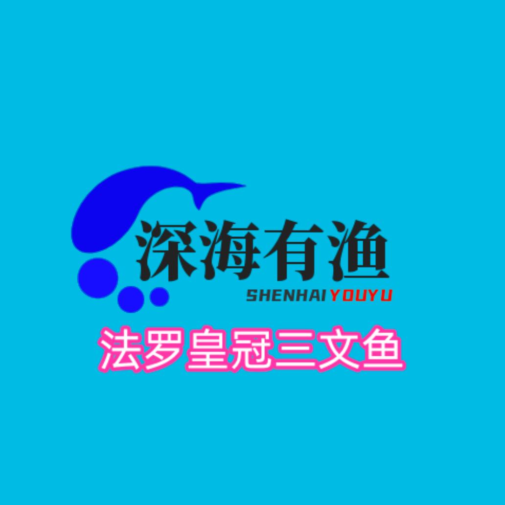 深海有渔三文鱼