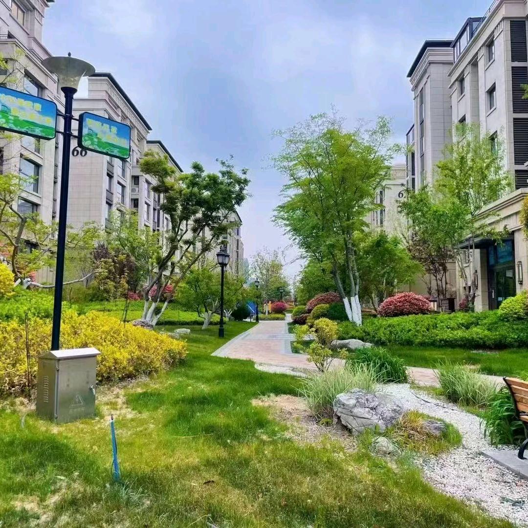 胶州捡漏好房