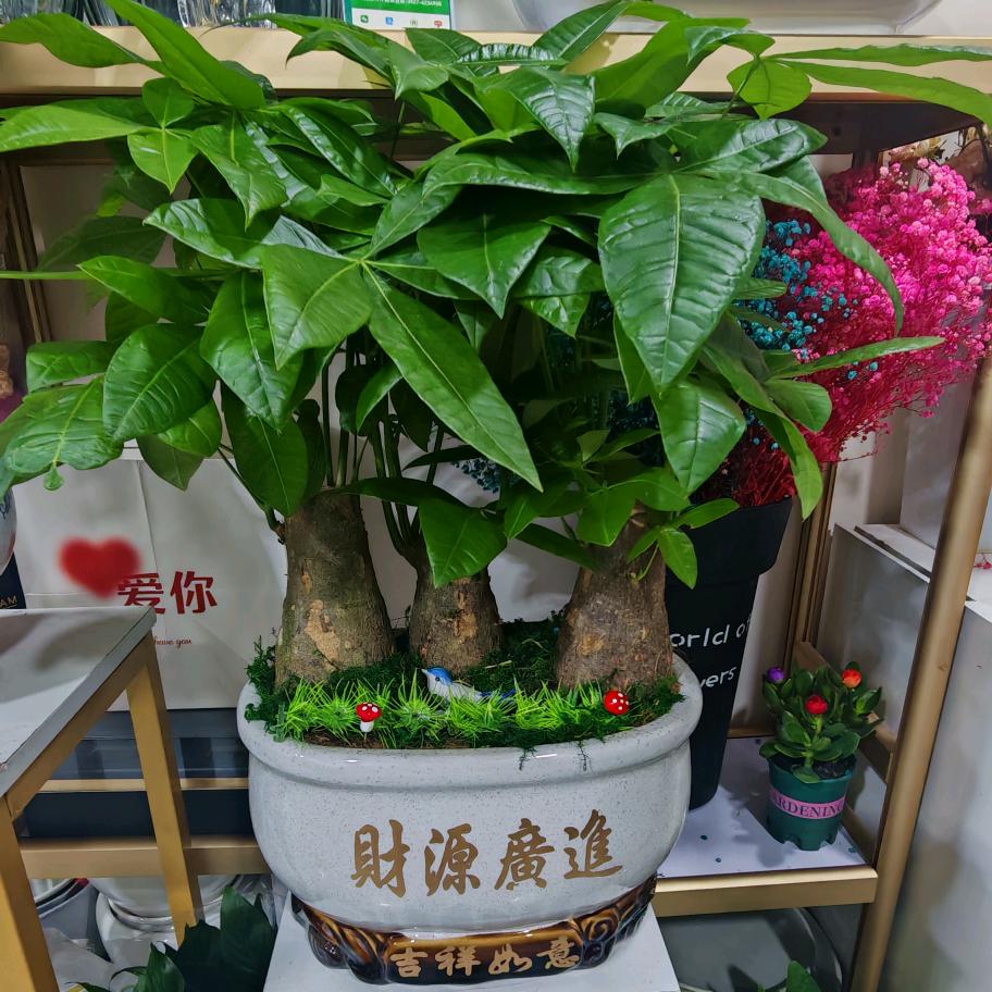 财富语录