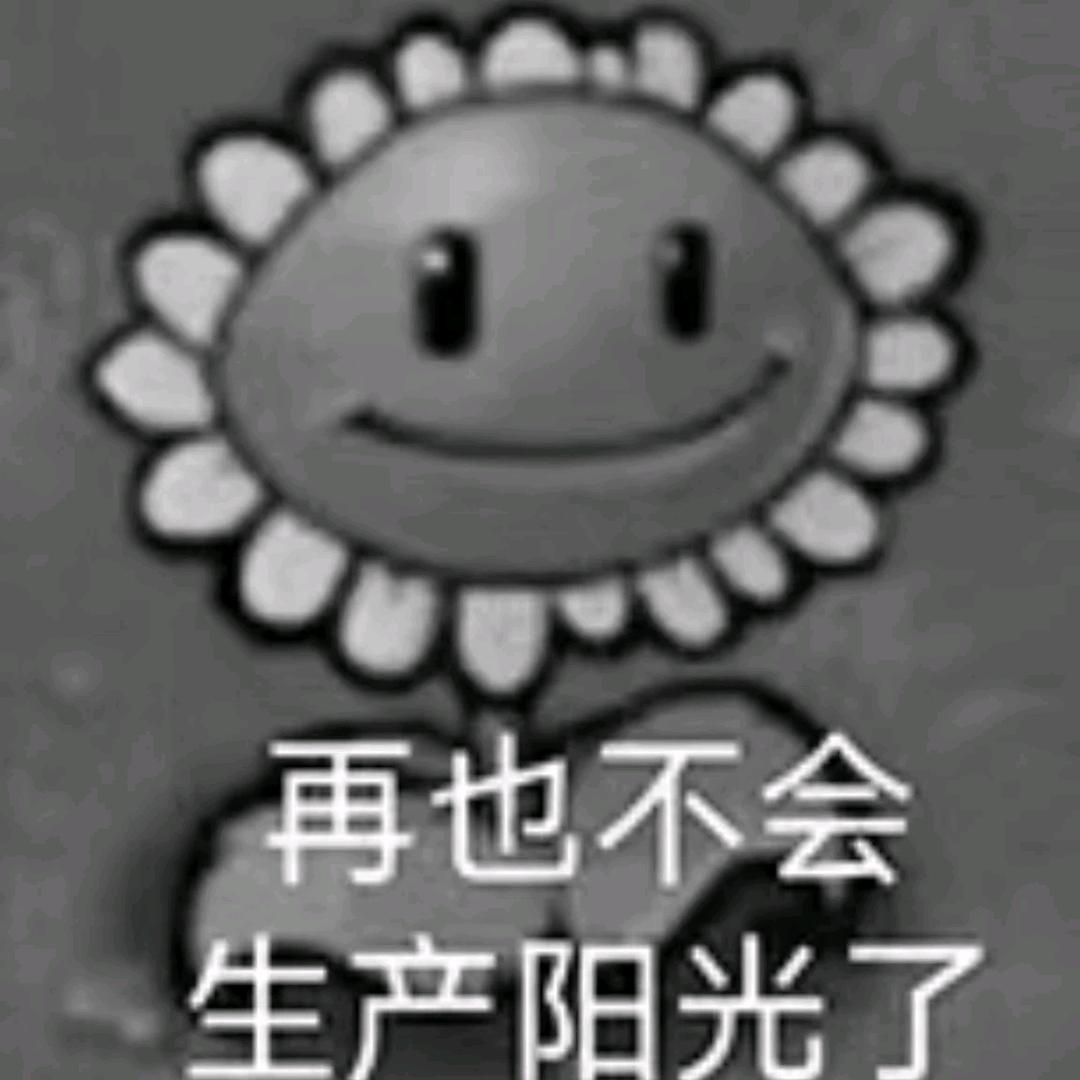 资深空军指导员