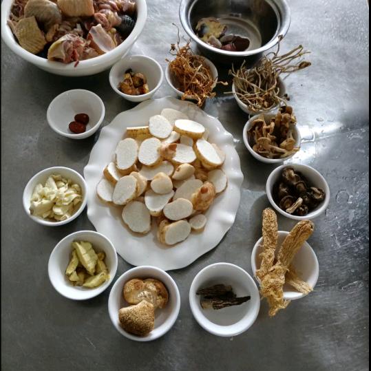 大方县林下仿野生天麻种植-土