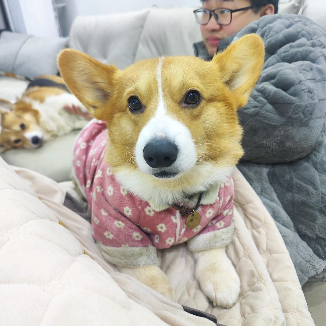 今日调休