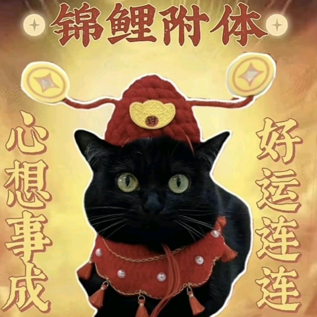 蘑菇蘑菇 它不会开花