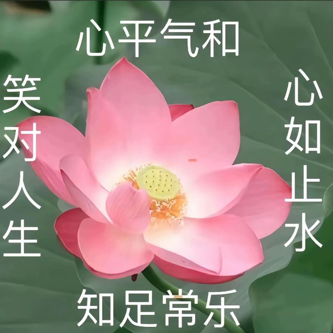 常念缘