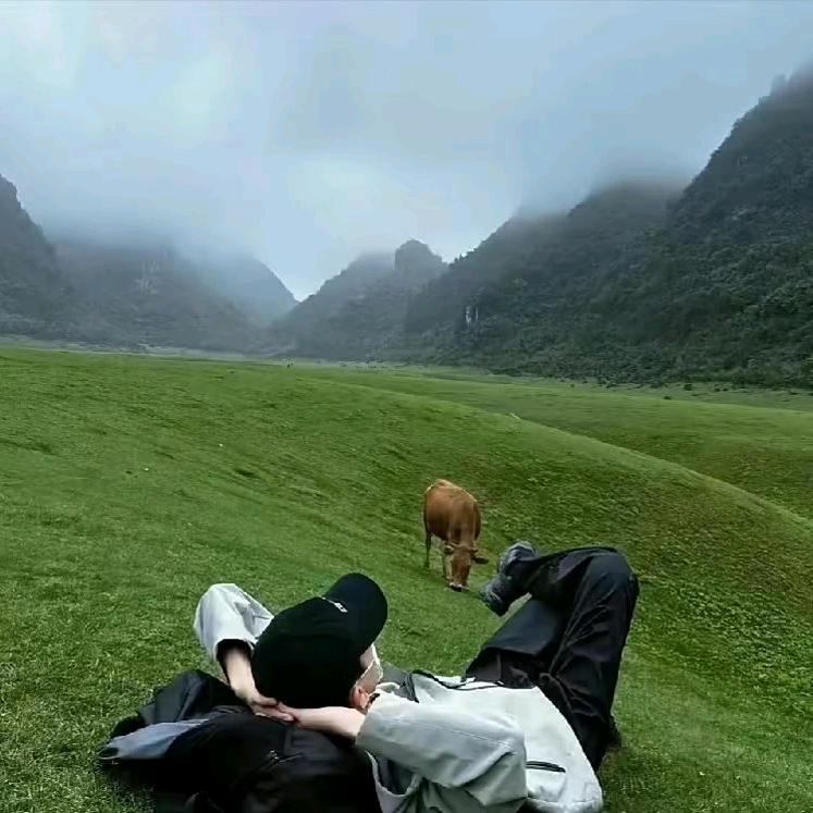 努力奋斗_251590253