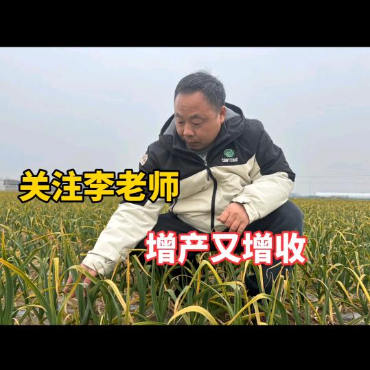 李老师聊三农