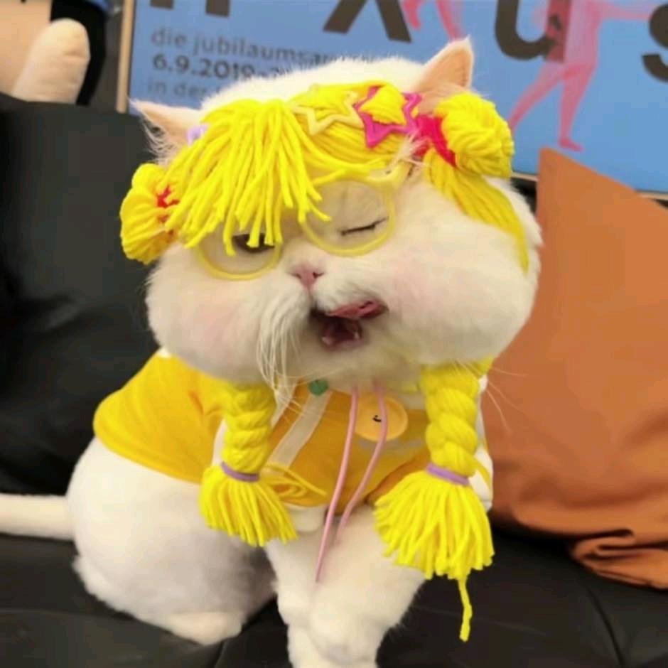 小钱儿吖