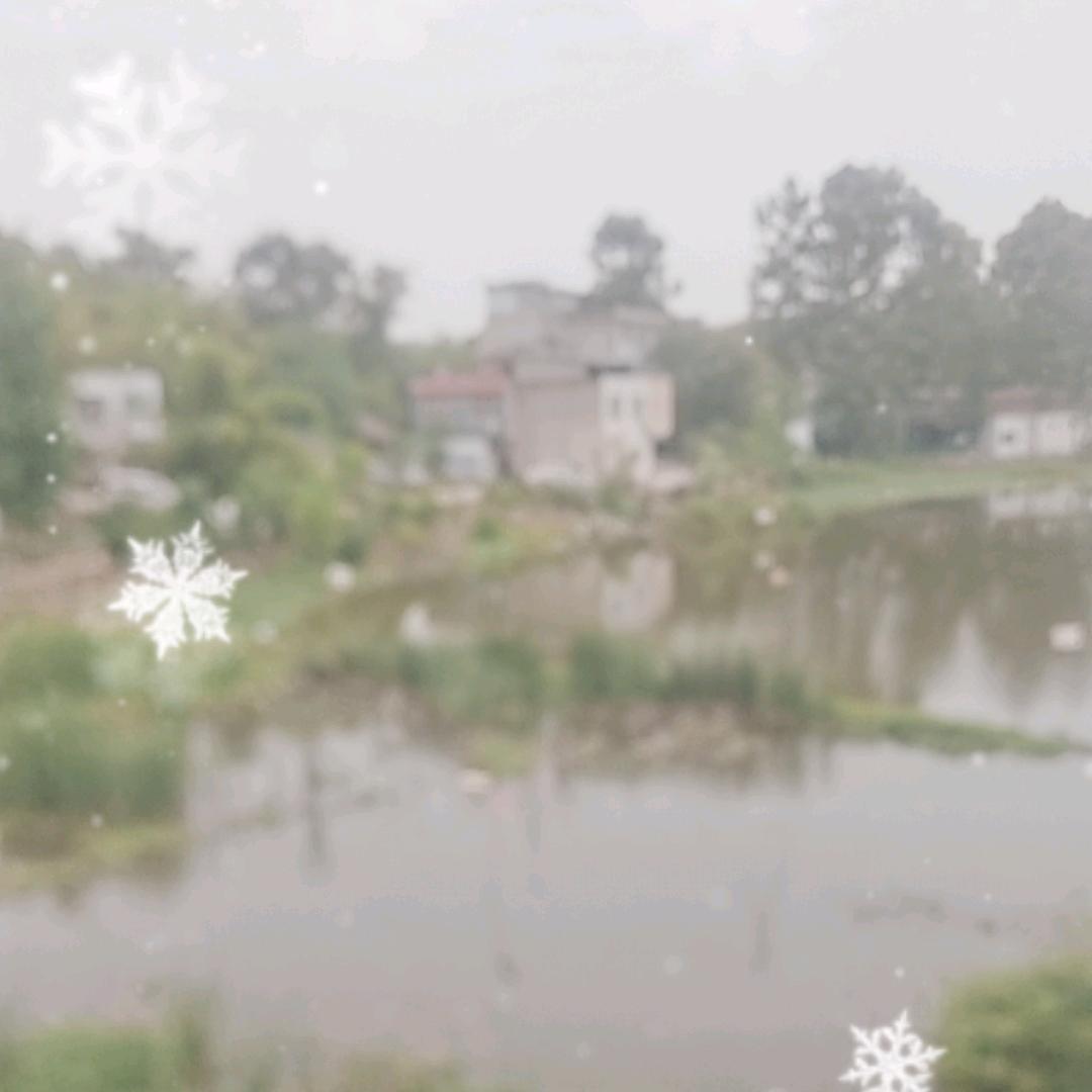 农村小乔