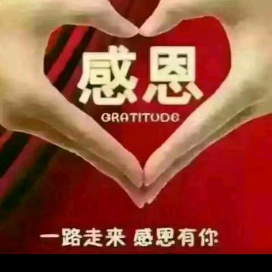 岁月静好🐍