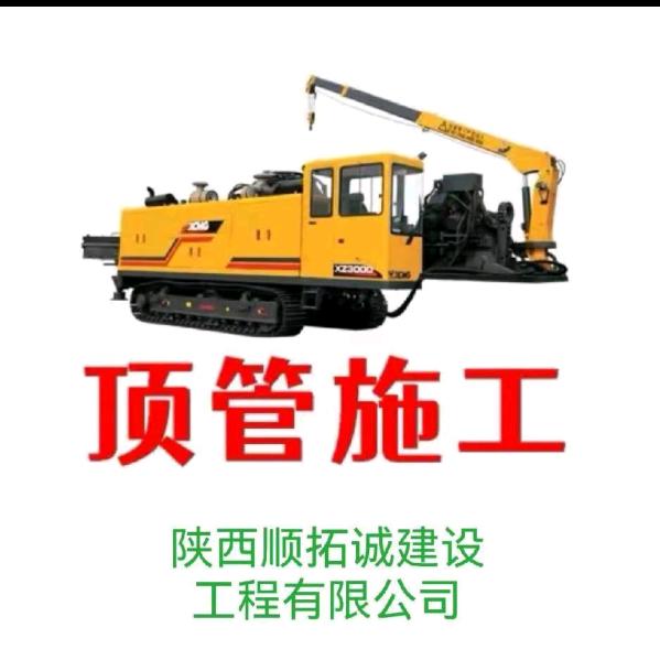 关中张毛哥