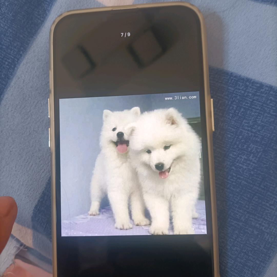 心中在无你