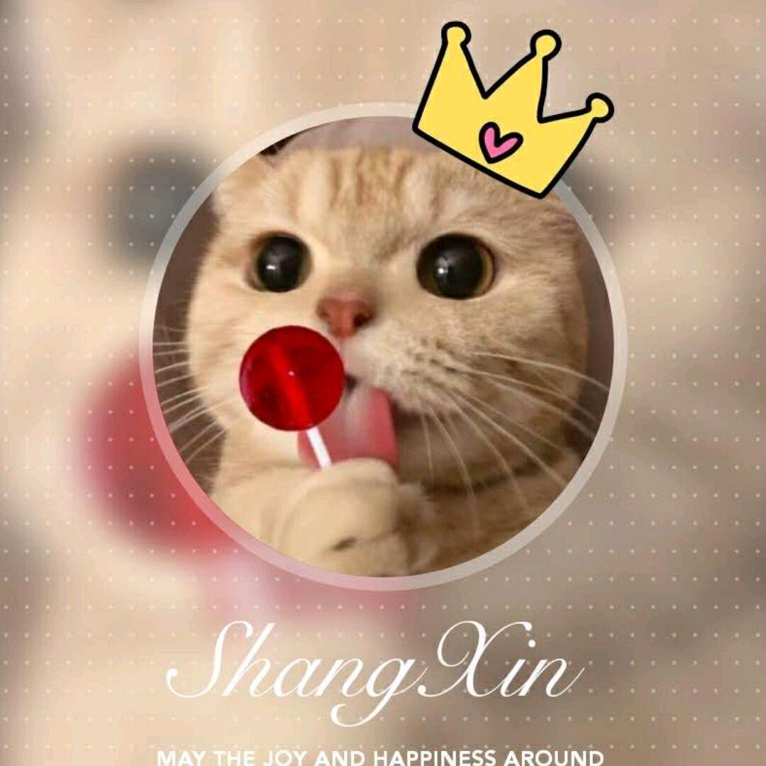 薇薇不白给丷（和平精英）