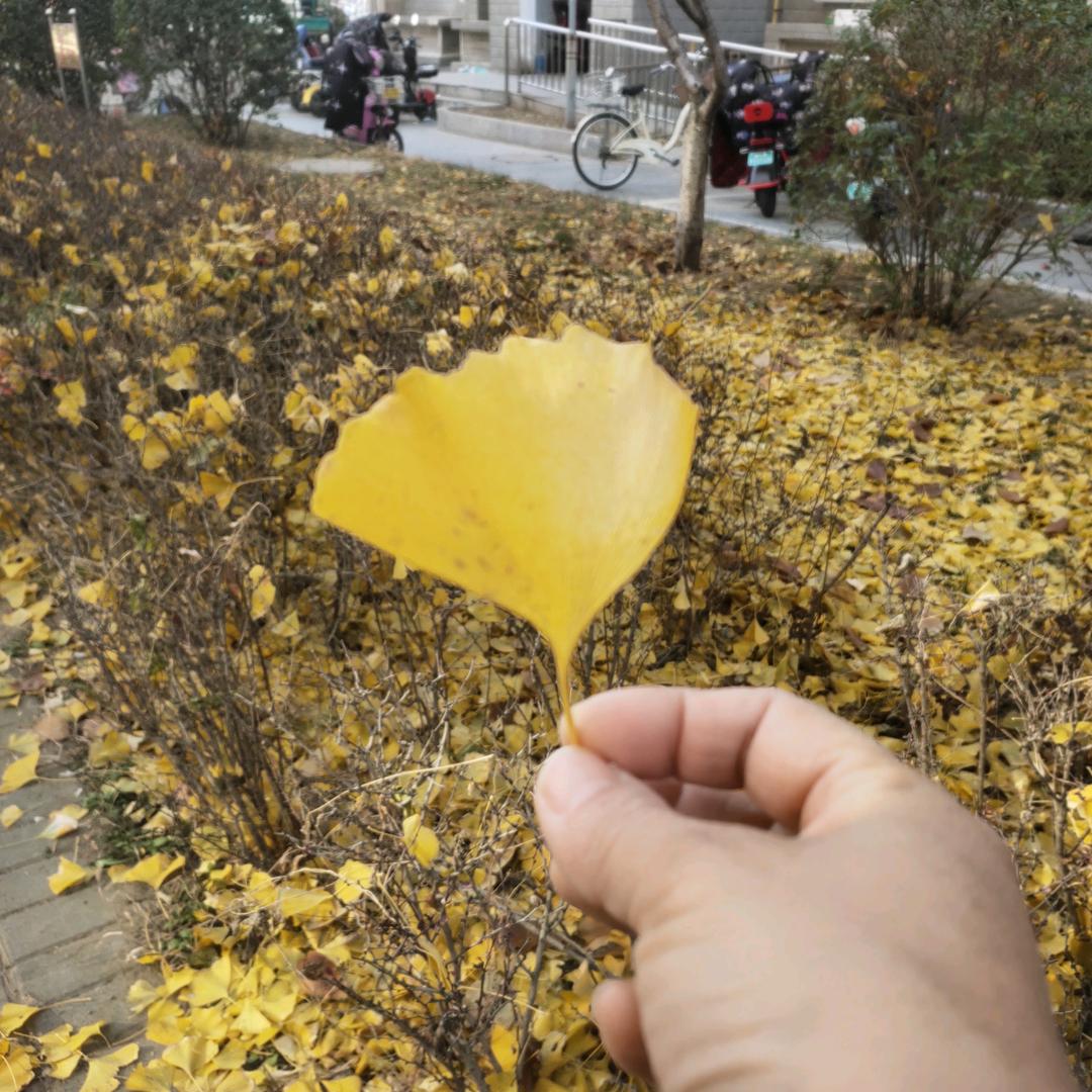 云空漫步