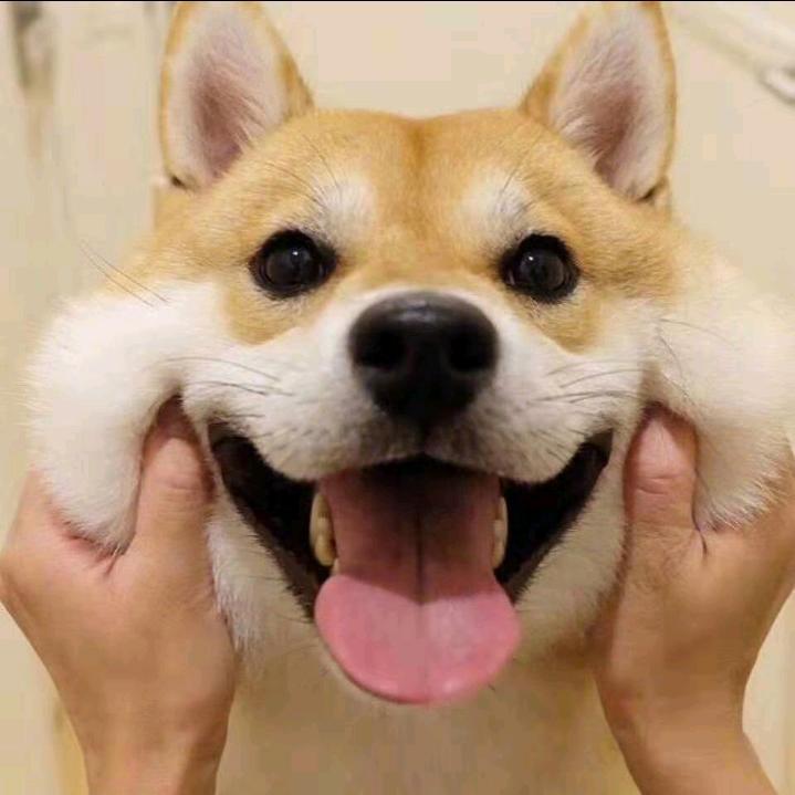 珠海虾米