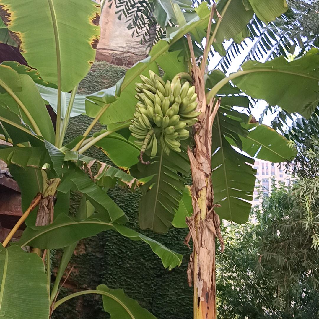 满意家政整体开荒保洁