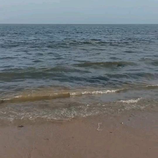 向往未来。