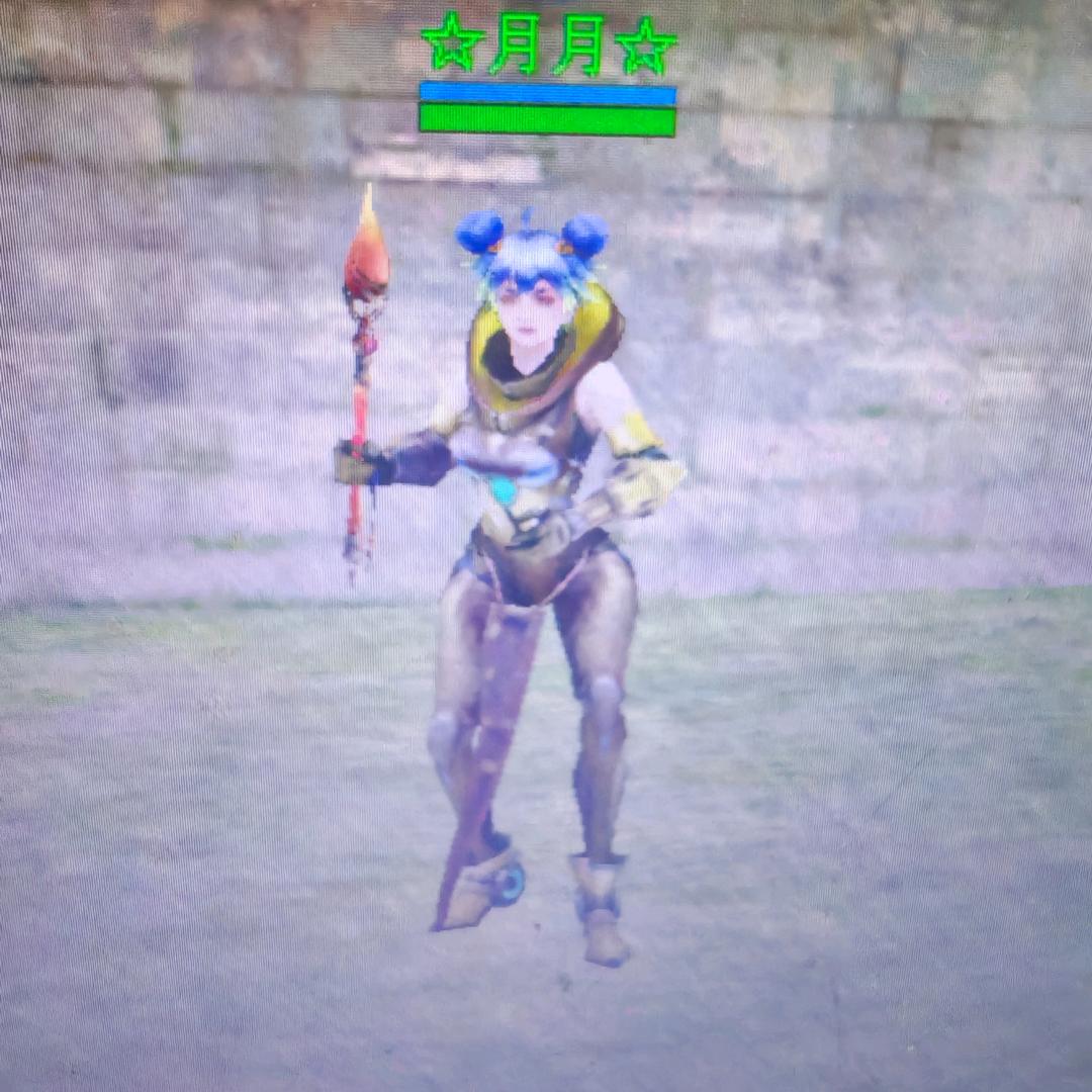 金甲