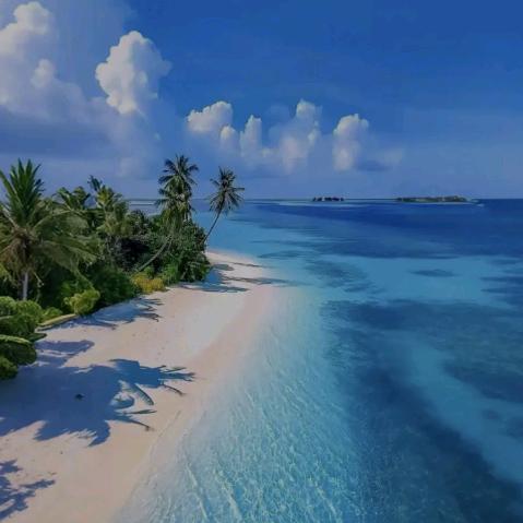 听海