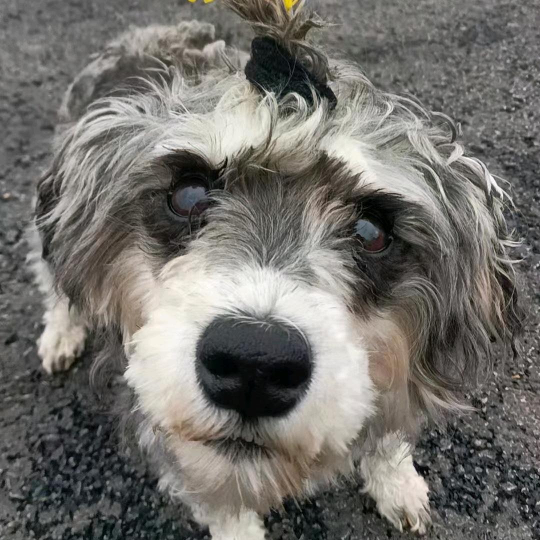 美好加油！！！！！