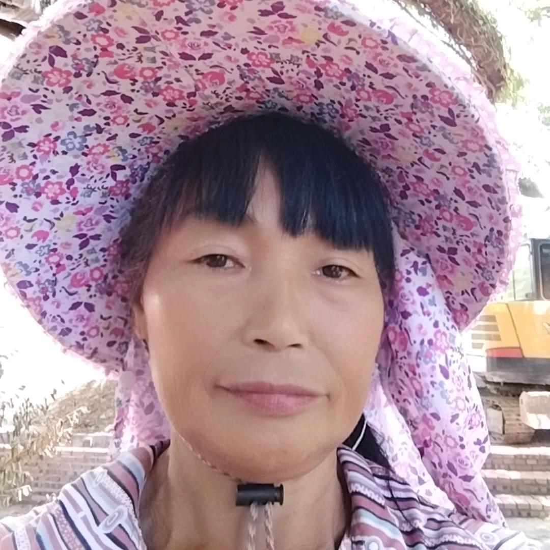 梯