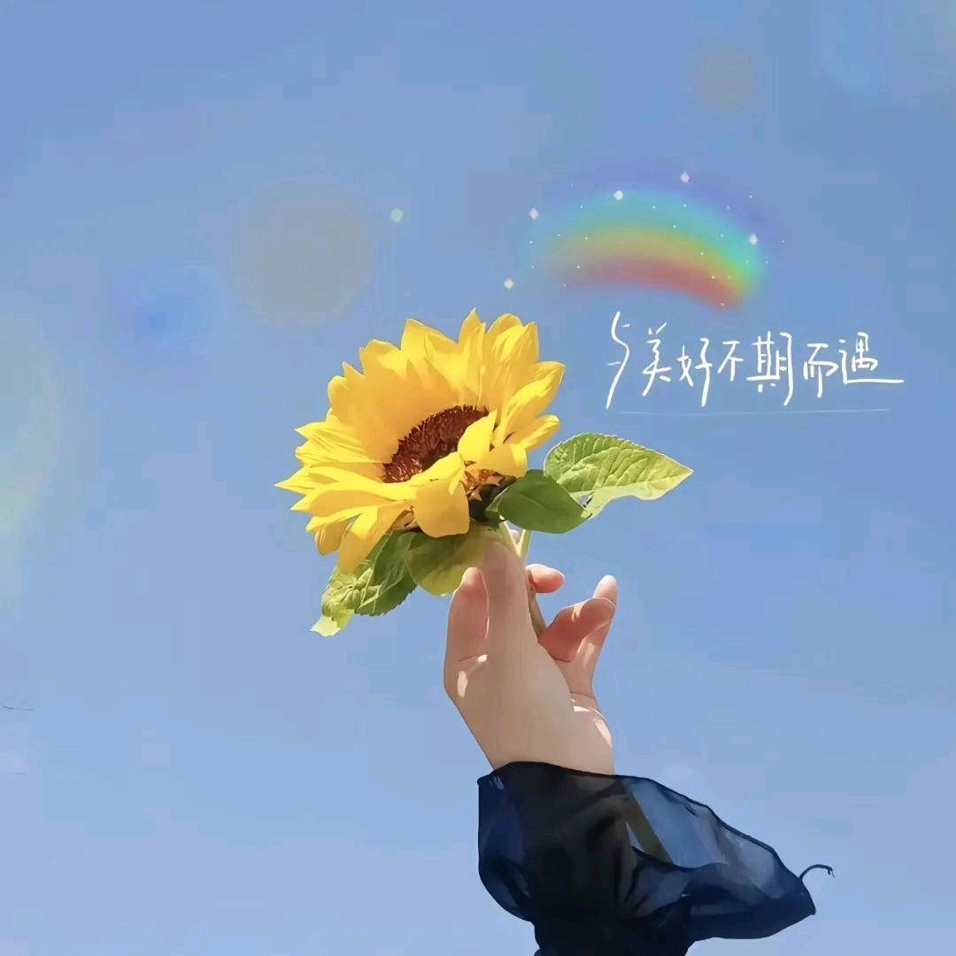 好运连连