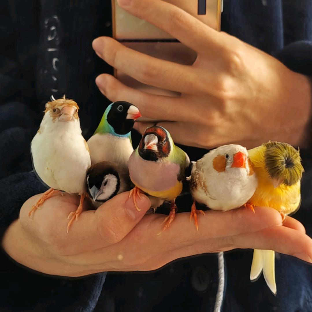 小理恒有理