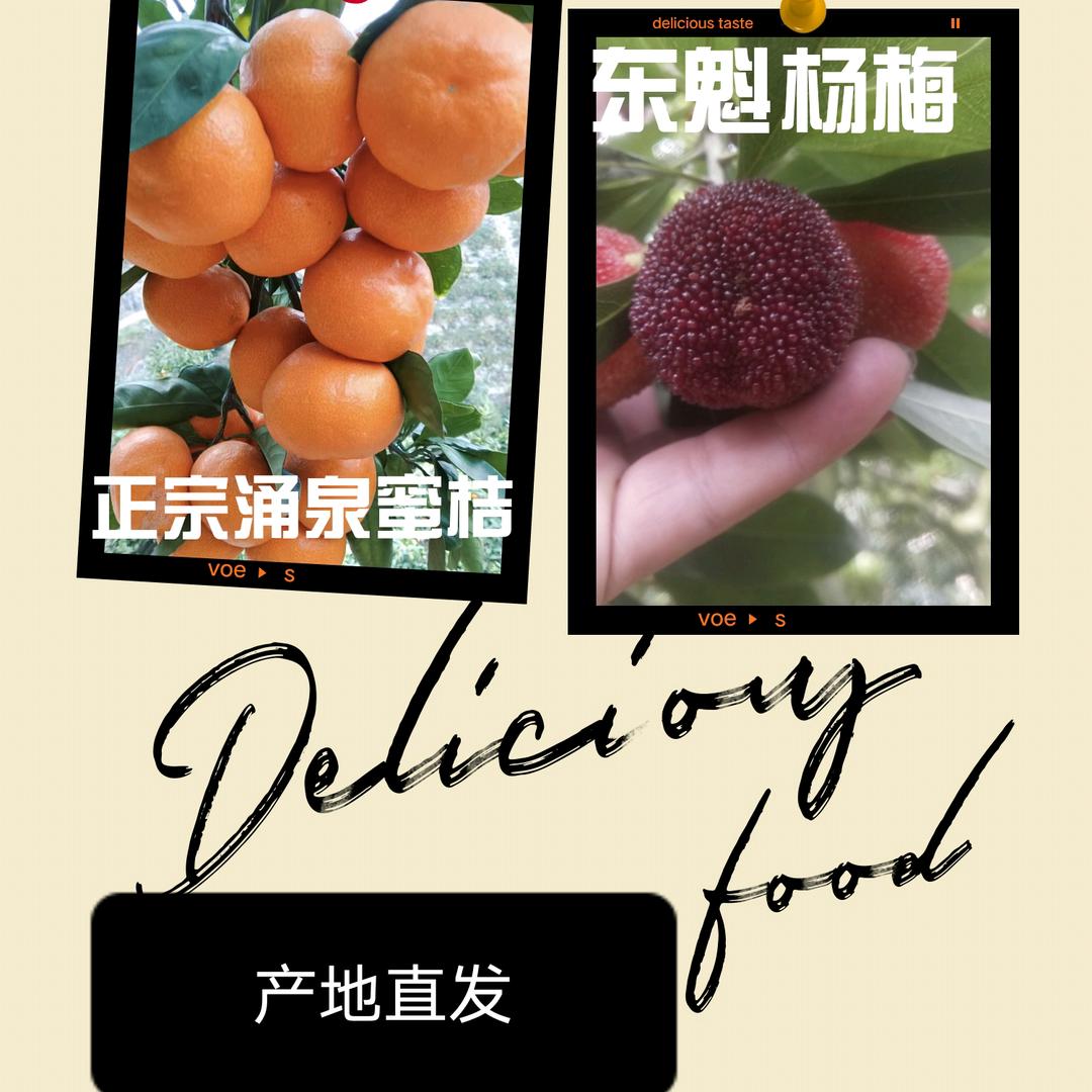 ༺ཉི།涌泉蜜桔།ཉྀ༻🍊🍊🍊