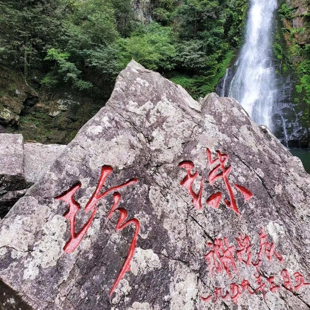 披萨斜塔