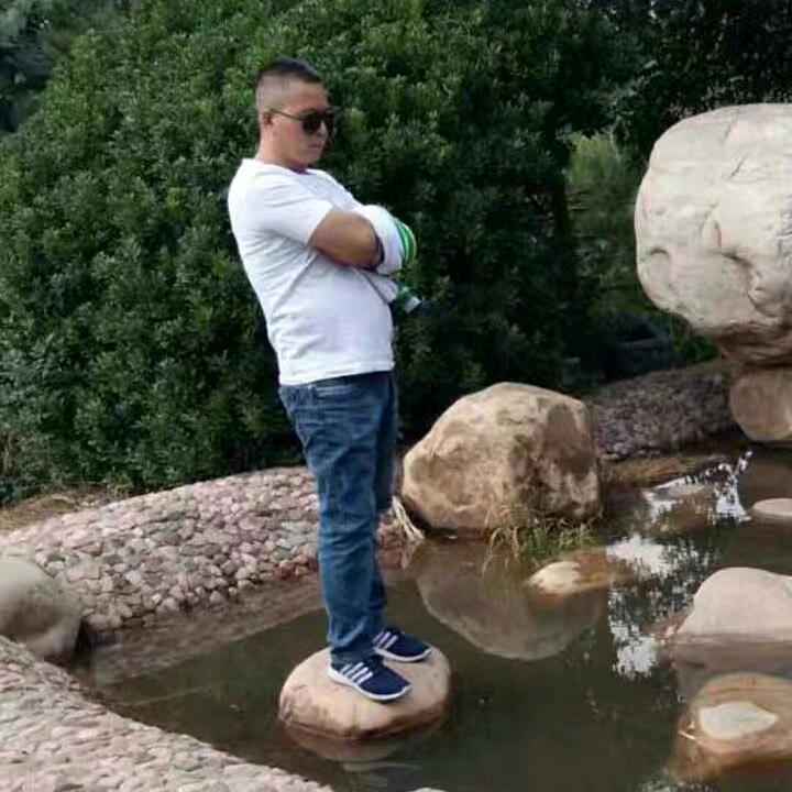 逆流的鱼